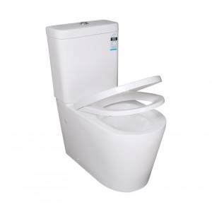 Ceramic White Box Rim Back To Wall Faced Toilet Suite
